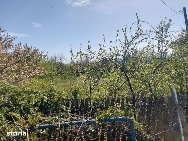 Teren de 1680 mp, în Miroslava