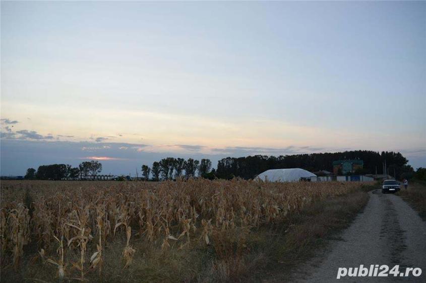 Teren de 7440 mp, în Slătioara