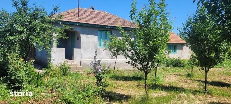 Casă cu 4 camere cu Teren 1600 Mp în Colceag