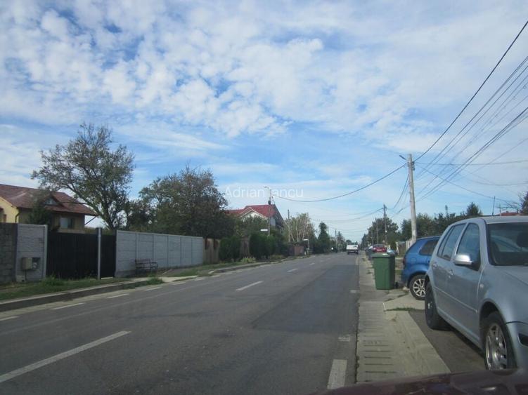 Domnesti Ciutaci-Zorelelor