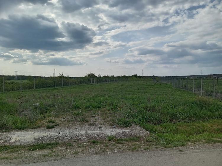 Teren in Priseaca - 4