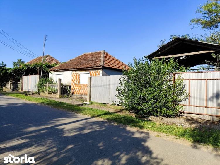 Casa la tara, Calea Mare, Bihor, teren mare, 2 intrari auto vanzare - 12