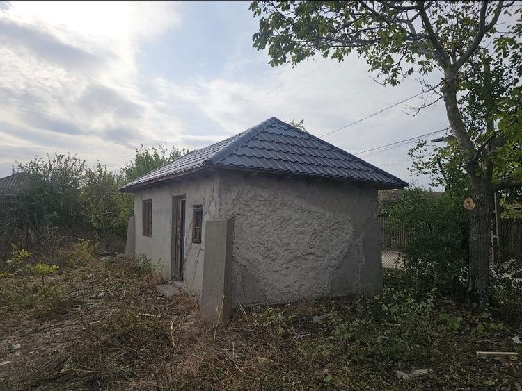 Casa cu Teren 1523 mp Mosteni (Furculesti), 20 km de Alexandria - 6
