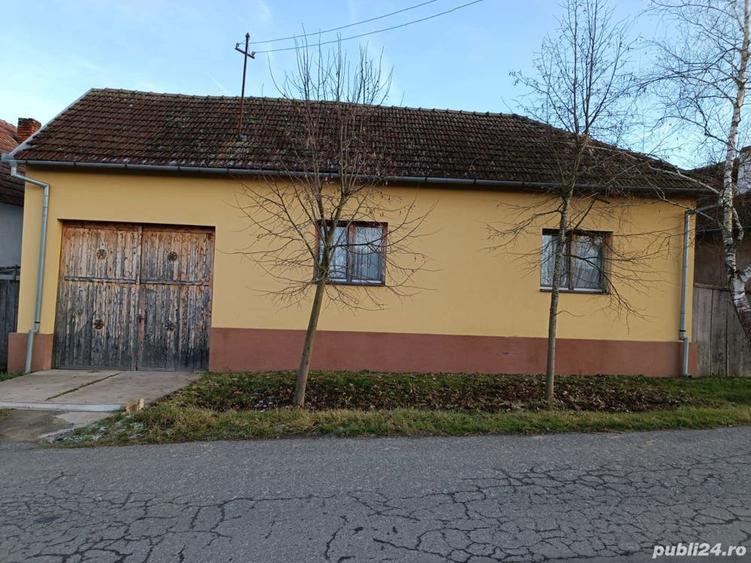 Vand Casa la Zabalt - 7