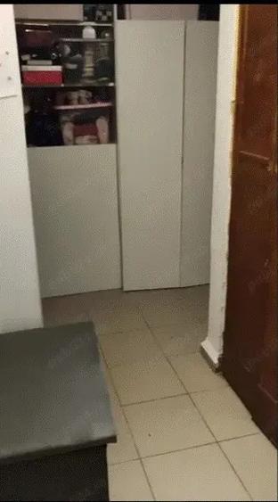 vand apartament 3 camere - 5