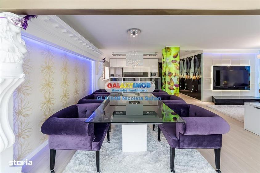 Triplex \/Penthouse Spectaculos Nordului \/ Parc Herastrau - 9