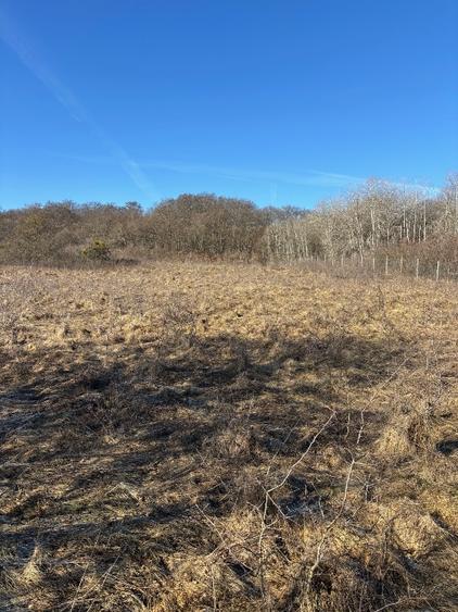 Teren intravilan Valea Garbaului Floresti - 2