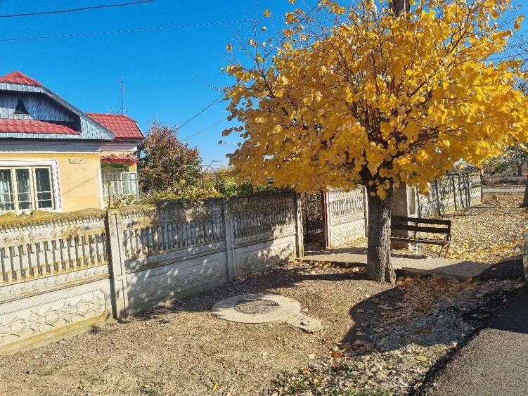 Vand Casa 4 camere Farcasele Olt - 1