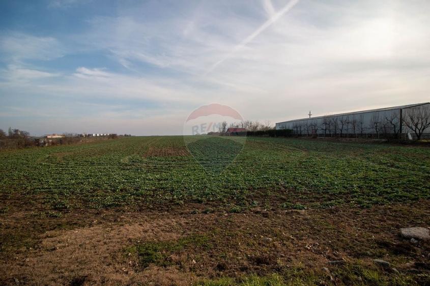 Teren Intravilan de vanzare 21000 mp Balotesti Soseaua Unirii - 10