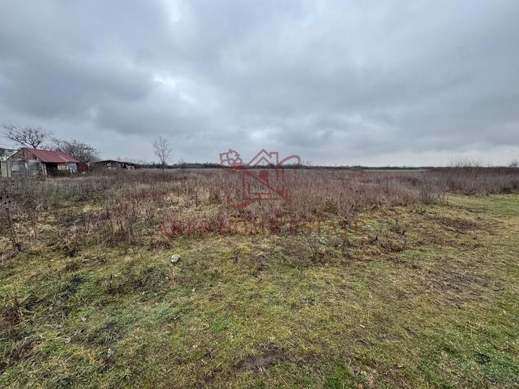 Teren 5.752 mp lângă Aeroport – ideal hală, logistică, depozit - 2