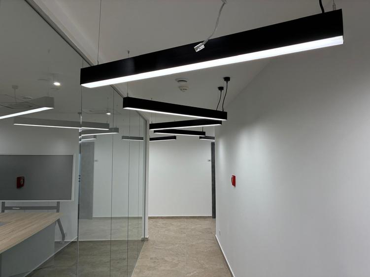 Spatii Birouri | ROMANA | Cismigiu - 8