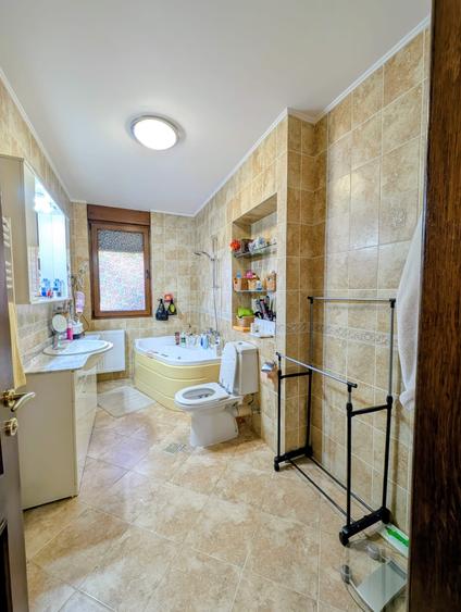 Jiului-Coralilor-Damaroaia,eleganta,robusta,garaj,curte intima,vegetatie matura - 18