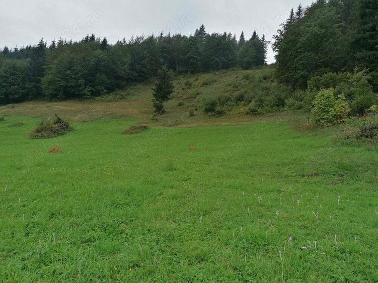 Inima Transilvaniei - 8