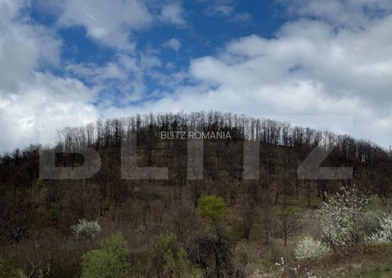 Vand 2 hectare de padure de Stejar, Carmazanesti