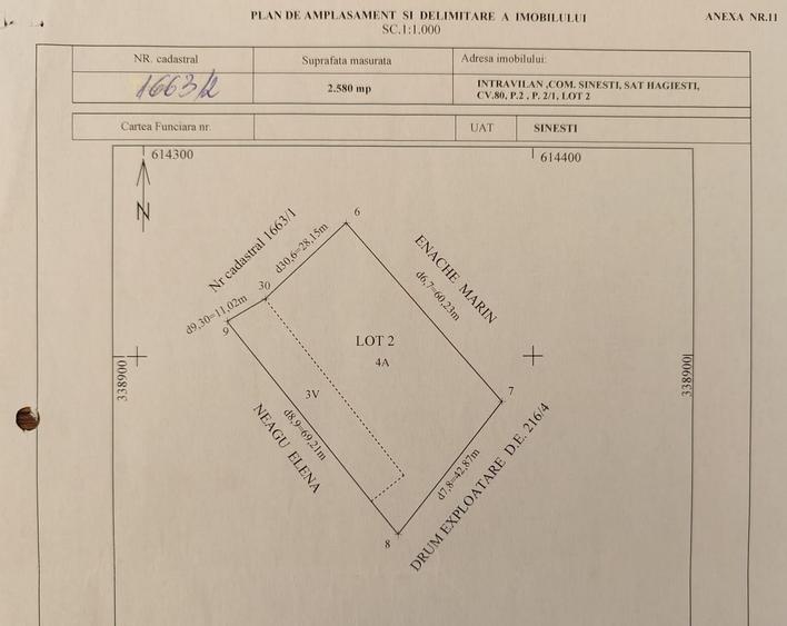 Teren intravilan 2580 mp - Hagiesti - 5