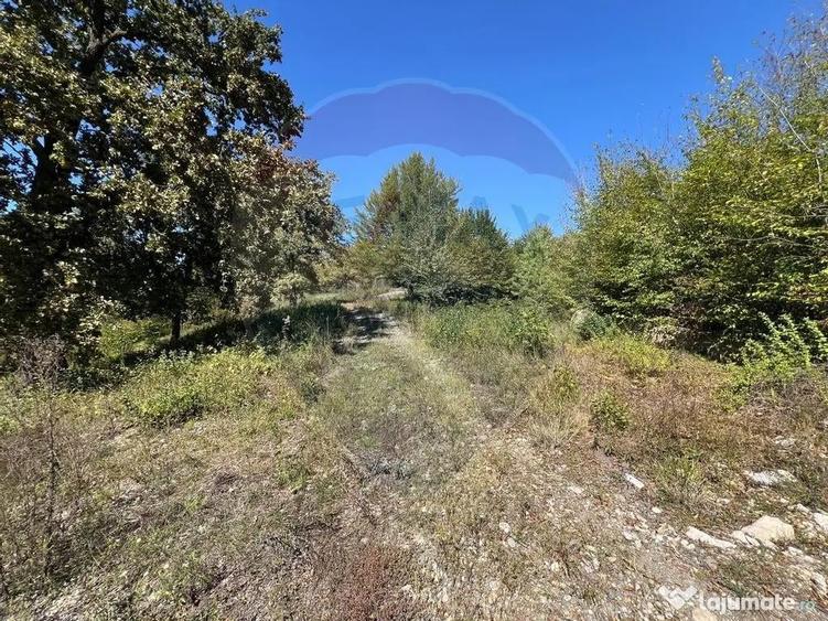Teren intravilan Buru | ideal agrement, activita?i outdoor - 2