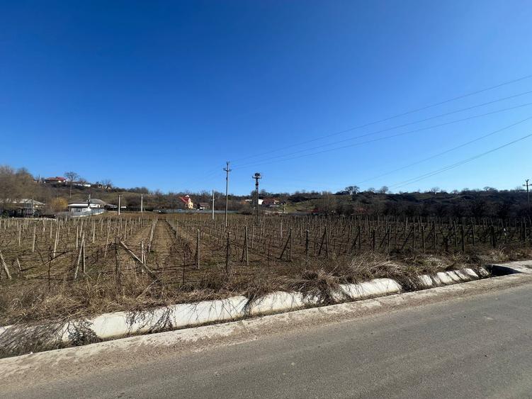 Teren intravilan 2700 mp, deschidere 41 ml, Movilita – Vrancea - 2