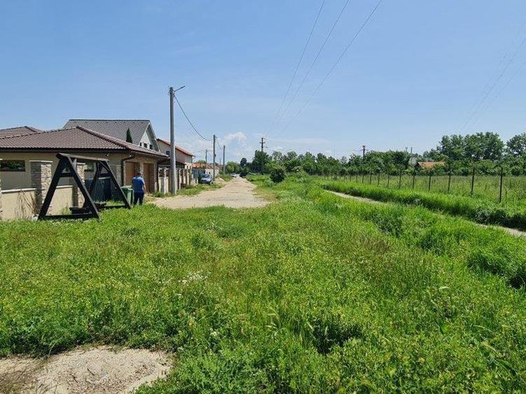 Teren intravilan 10.000mp cu utilitati, imprejmuit, Loc. Sanleani langa Amatex - 8