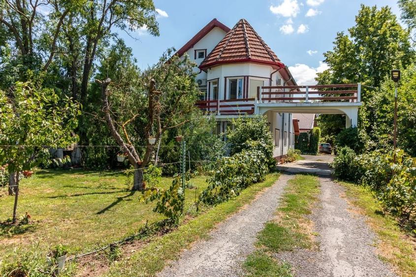 Casa+Laborator+ Teren 12.700 mp + casa de vacanta - Bolintin Vale - 47