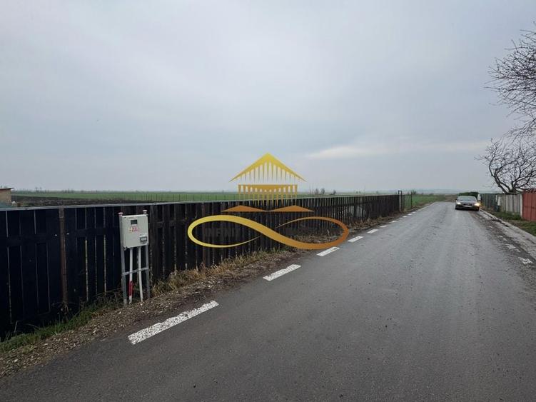 Teren de vanzare Filipesti Bacau 6838 mp - 3