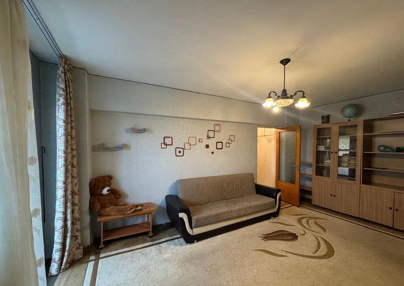 2 Camere Campia Libertatii Pet friendly - 1