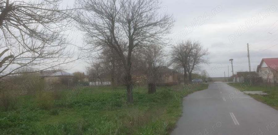 2(doua) teren intravilan in localitatea Giurgi?a, judetul Dolj. - 1