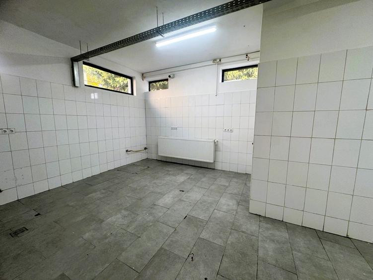 Spatiu cu alta destinatie Lipovei !!! - 9