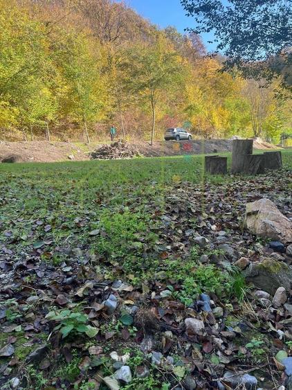 Proprietar. Vand teren. Paraul Runcu este limita de proprietate. Drum asfaltat - 3