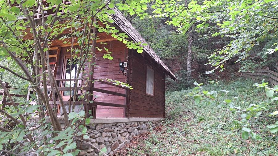 VANZARE ANSAMBLU CASUTE BRADULET ARGES - 3