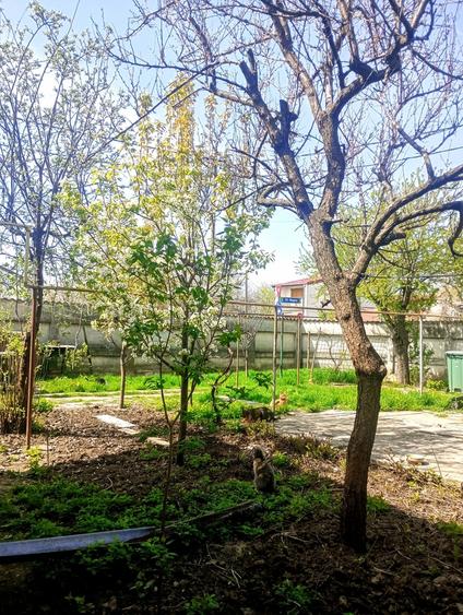 Jiului, Bucuresti - 11