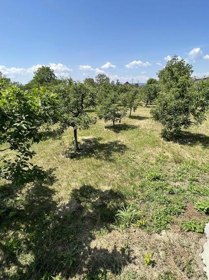 Teren Intravilan 2000 mp-Letea Veche - 3