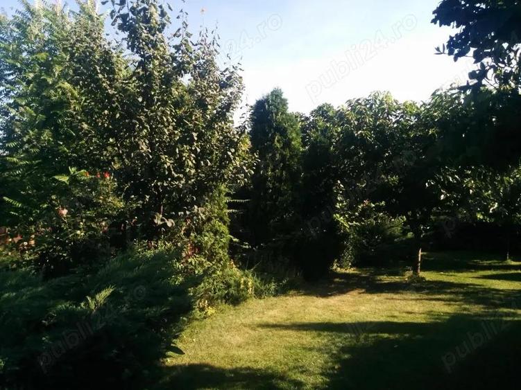 Casa Zona Centrala (Tudor Vladimirescu) - 3