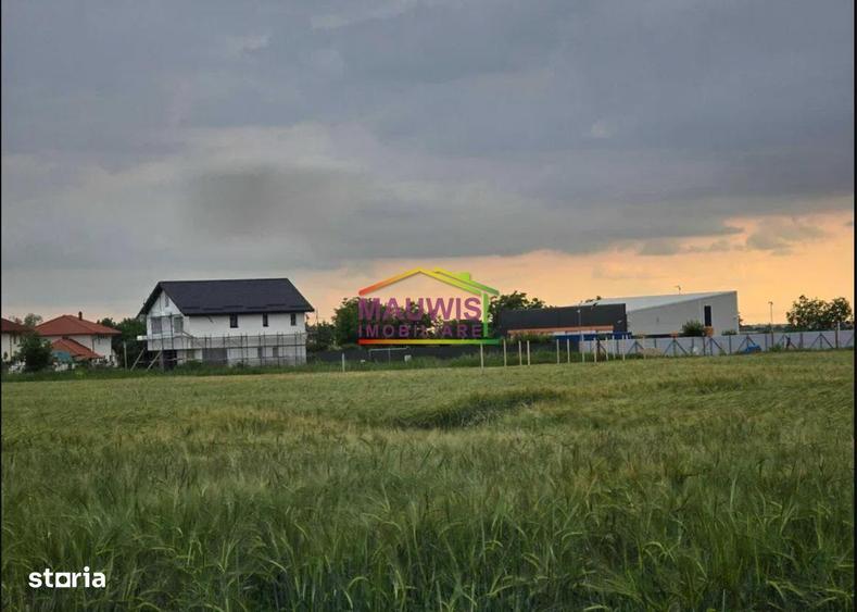 Vand teren intravilan in Otopeni - Strada Alexandru Ioan Cuza. - 7