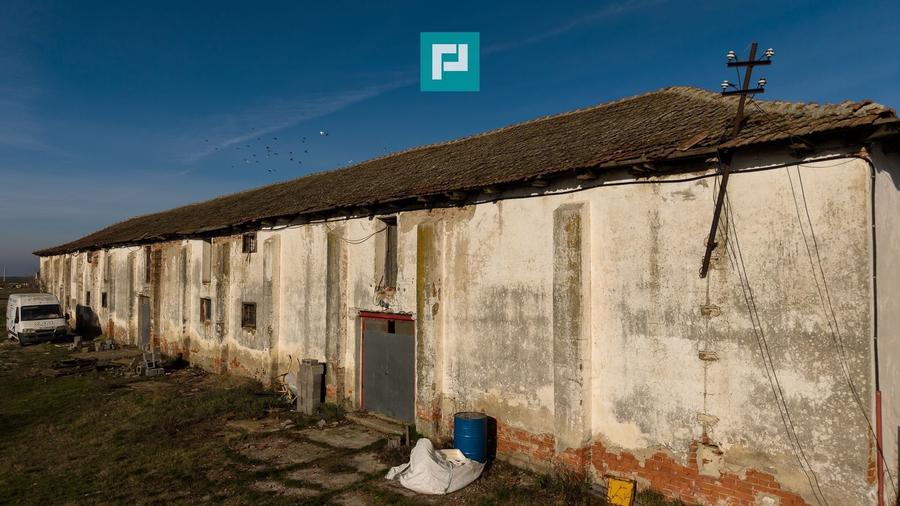 Hală industrială cu teren generos în Zărand, Arad - 4