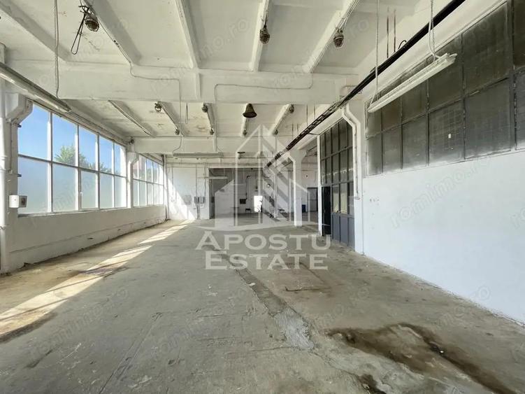 Hala depozitare sau productie, 470 mp, Zona Buziasului - 6