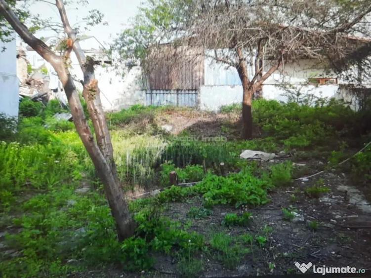 Teren pentru casa-Bucurestii Noi-pozitie foarte buna - 1