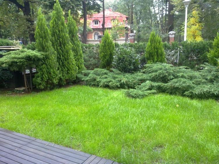 Aviatorilor Modrogan - 1