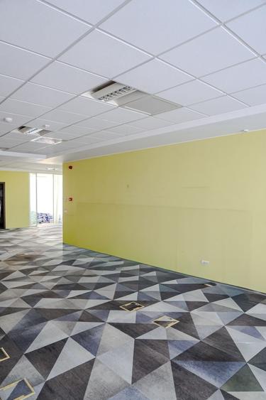 Birouri Piata Charles Gaulles, 301 mp, terasa 100mp, vedere Parcul Herastrau - 10