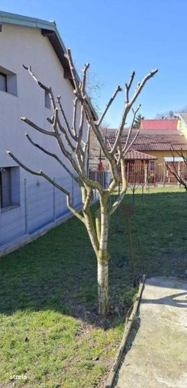 Casa Dambul Rotund, acces doua fronturi - 1