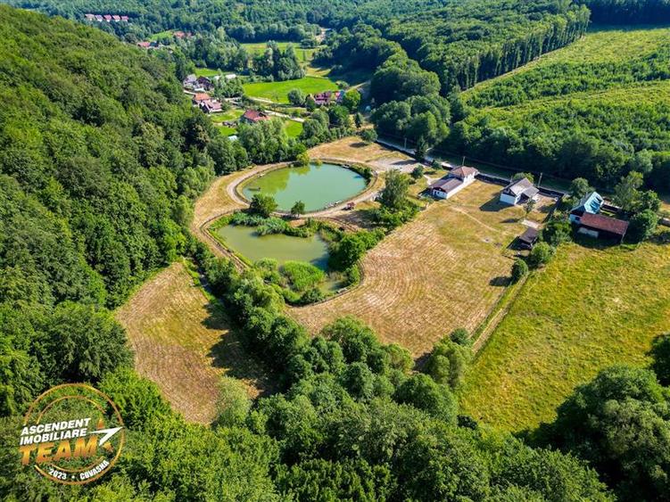 FILM! Teren extravilan pe 2.737mp,zona pretioasa,acces facil,Dobarlau,Covasna - 7