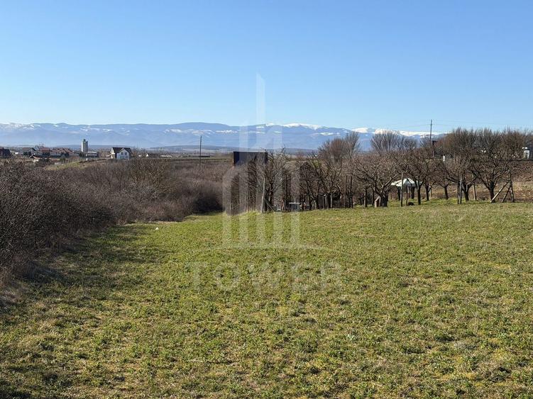 Teren intravilan de vânzare - Ocna Sibiului - 9