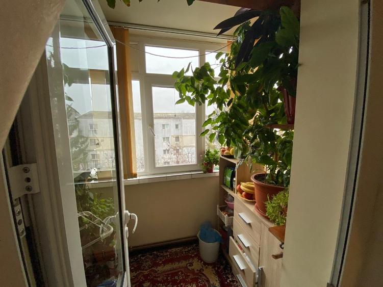 Persoana fizica închiriez apartament în Nicolina I - 4