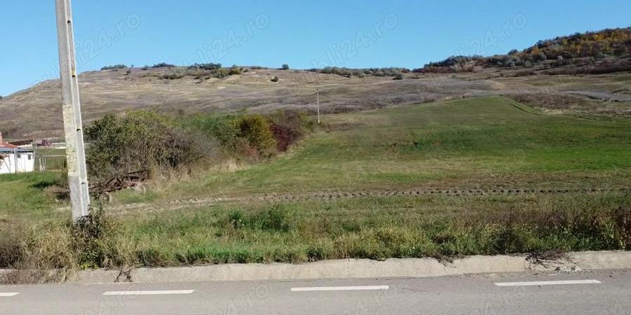 Teren lot de casa sau pentru hala in Gadin?i! - 3