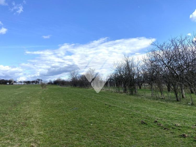 Teren Rasinari 3500 mp extravilan - 3