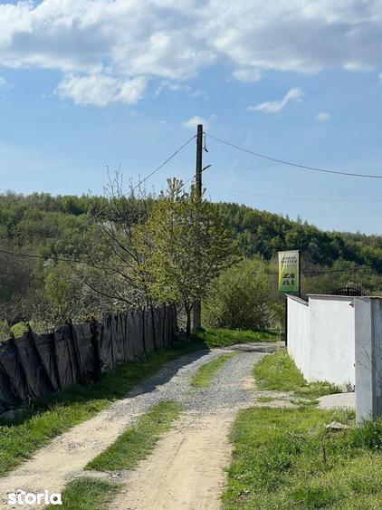 Teren Valea Moasei, Sebesul de Sus, cu utilitati apa, canal, curent - 4