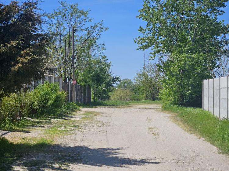 Teren de 550 mp, în Clinceni
