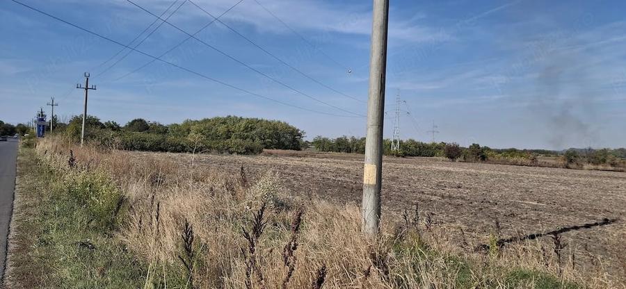 Teren de 5000 mp, în Bălanu