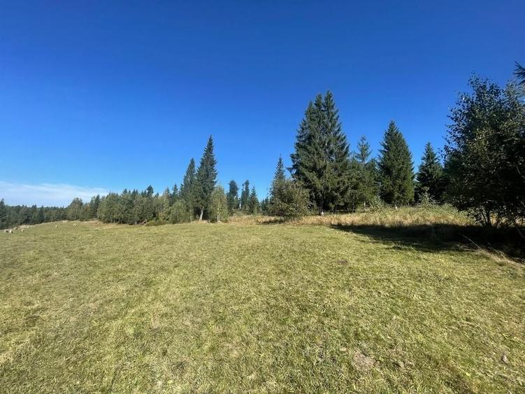 Teren Intravilan | Dealul Negru | Investiție | 1500 mp - 4