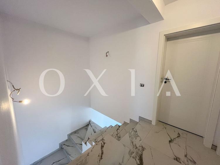 SX676 Mosnita Veche - Padurea Bistra - Disponibil Imediat - 11