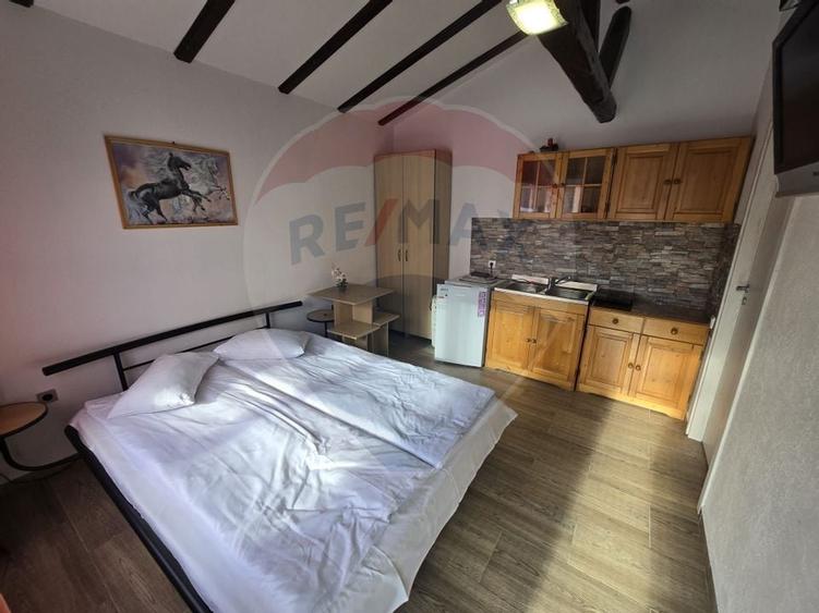 VILA ORHIDEEA  PENSIUNE  DE VANZARE IN STATIUNEA  PALTINIS JUD SIBIU - 22